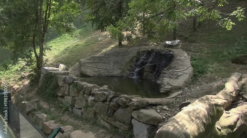 Pond cascade waterfall water bear enclosure nature trees zoo