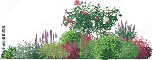 Detailed vector garden scene featuring flowering plants foliage and shrubs in tiered arrangement with vibrant botanical elements and textures