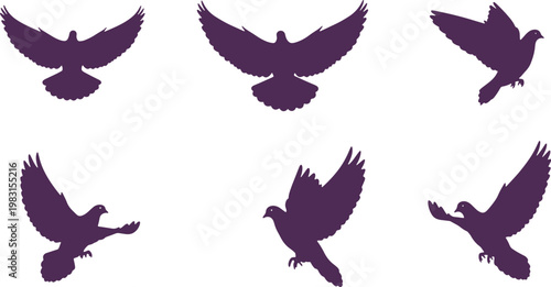 Silhouettes of diverse birds in flight against a plain background