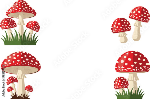 Amanita muscaria mushrooms in grass during autumn foraging season