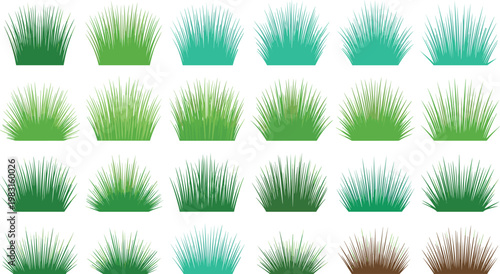 Grass Patch Set with Various Lawn Tufts Green Meadow Plants Collection for Landscape Design Garden Illustration and Natural Ground Elements