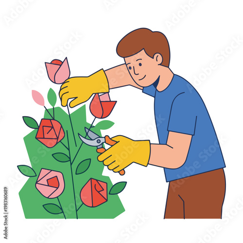 Man pruning rose bush with shears. Flat line art vector illustration of gardening and horticulture concept. Isolated graphic element