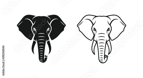 African vs Indian Elephant Comparison Design Vector