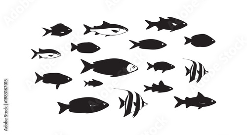 Underwater fish silhouettes collection featuring various sea creatures and tropical species for marine life biology projects.