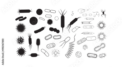 Diverse collection of black and white microscopic bacteria and virus illustrations, science and medical research concept, cellular microorganisms vector.