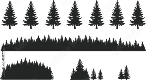 Black Silhouette Set of Pine and Fir Tree Collections Including Dense Forest Horizons and Individual Coniferous Evergreen Shapes for Nature Landscape and Wilderness Design