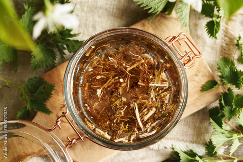 Bild auf Leinwand Preparation of nettle root tincture