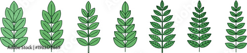 Stylized green leaf illustration set showing botanical variations, evolving vein patterns and foliage design for nature, education, and art