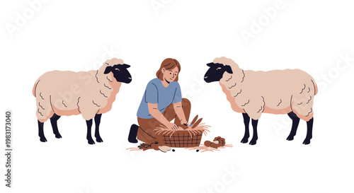 A woman is shearing sheep in a field with a basket full of wool