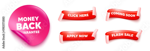 Money back guarantee sticker, offer ribbons. Apply now, Flash sale. Money back guarantee tag. Promo offer sign. Advertising promotion symbol. Pink sticker tag. Flag ribbon banners. Vector