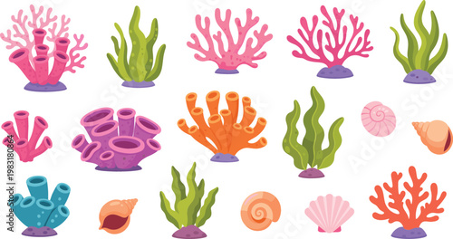 Underwater coral and seaweed vector set with shells marine plants and ocean reef illustration collection design