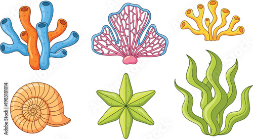 Marine elements vector set with coral starfish seaweed shell and underwater ocean decorative illustration collection design