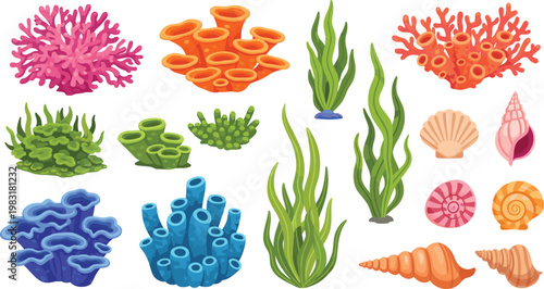 Colorful coral reef vector set with seaweed shells and marine elements underwater ocean illustration collection design