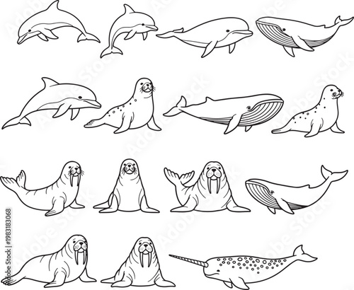 Collection of marine mammal illustrations with sea lion marine life black and white underwater wildlife creature illustration collection