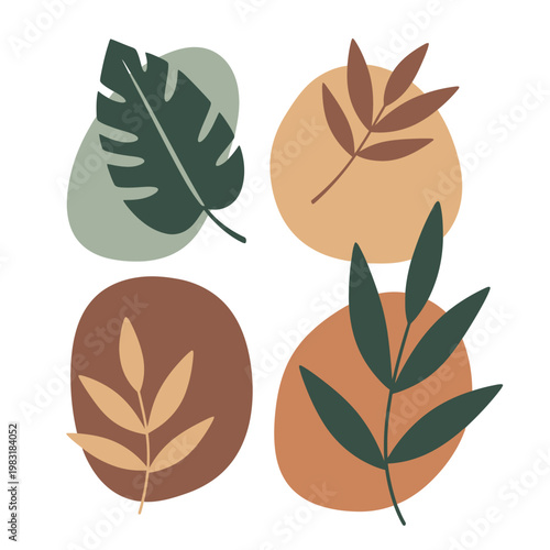 The illustration shows various leaves on colored shapes arranged in four sections.