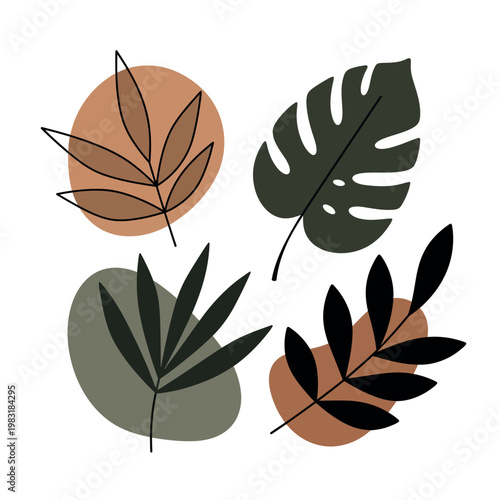 A stylized illustration of various LEAF shapes and colors on a white background with earthy tones and minimalist designs.