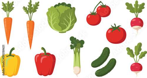 Fresh vegetables vector set with carrot tomato cucumber pepper lettuce and radish healthy food illustration collection