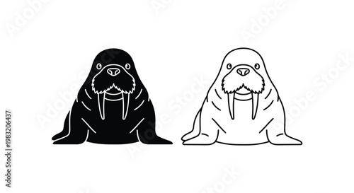 Walrus Illustration Design Vector Art Clipart Vector
