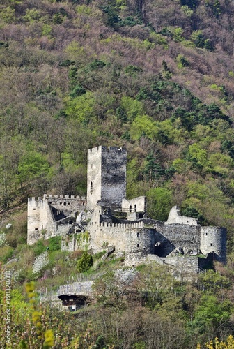 Burgruine Hinterhaus in der Wachau im Frühling, vertikal