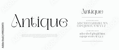Antique, luxury classic lettering serif italic fonts decorative wedding vintage retro logos.