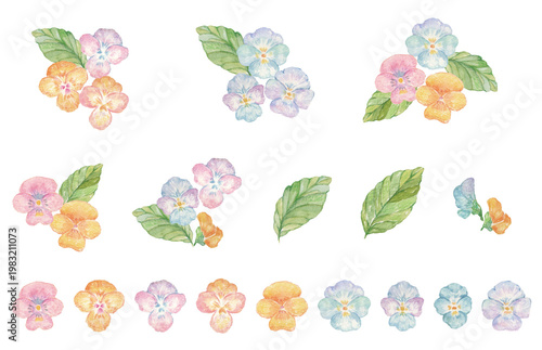 水彩で描いたパンジー・ビオラのイラスト