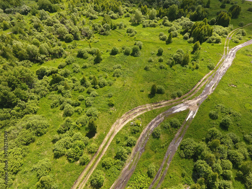 Dirt road crossing through green grassy field with scattered bushes