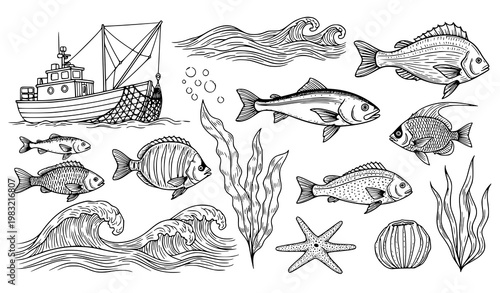Marine Life Vector Set Fishing Boat Net Fish Waves Seaweed Black White Line Art Illustration Collection