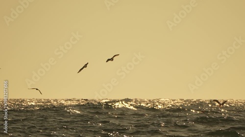 Birds flying ocean, serene seabirds gliding over golden waves at sunrise