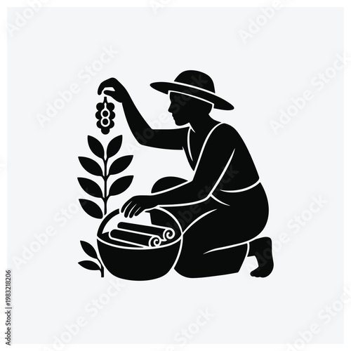 Silhouette of a person harvesting herbs in a bowl