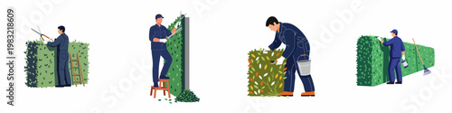 Professional gardeners trimming and maintaining green hedges with various tools, set of flat vector illustrations on white background.