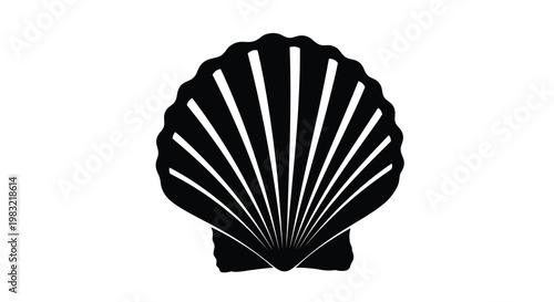 A striking black and white illustration of a scallop seashell