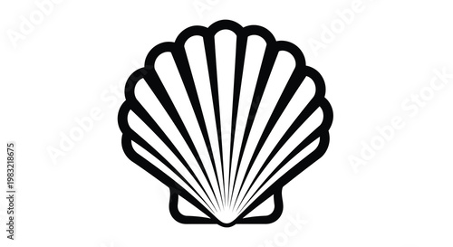 A simple black and white illustration of a seashell with radiating lines