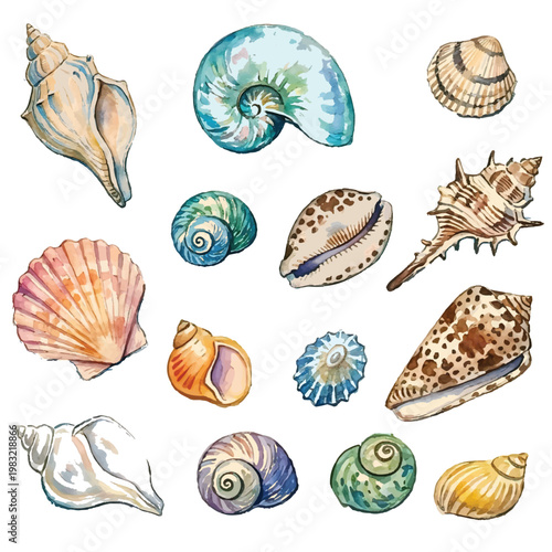 A collection of various seashells and marine shells arranged on sand in a tropical beach setting