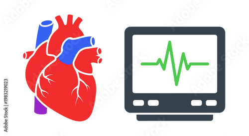 Human Heart and ECG Monitor Displaying Heartbeat - Medical Health Concept
