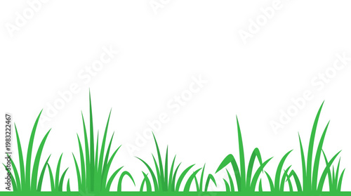 Minimal white backdrop with fresh green grass blades along the bottom, suitable for nature, spring, and product design