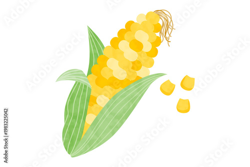 手描き風のとうもろこしのベクターイラスト