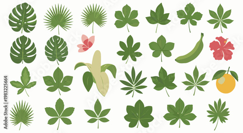 A collection of tropical leaves, a peeled banana, and colorful flowers