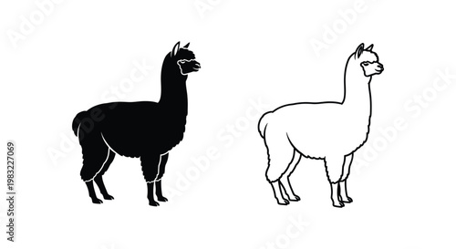 Alpaca vs Llama Comparison Guide Vector