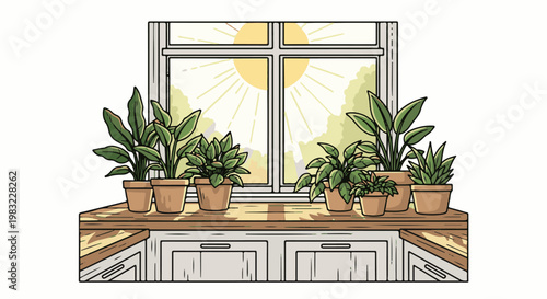 Potted plants thriving on a windowsill bathed in warm sunlight