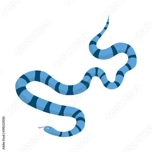 Colorful poisonous snake. Snake on white background icon