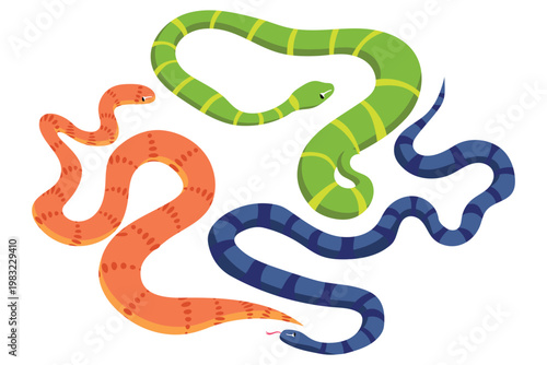 Snakes with different colors. Tropical reptile collection.