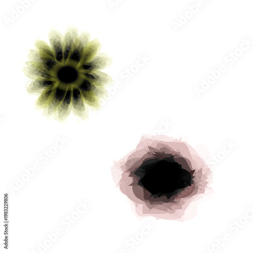 colorful images of flowers, a play of shadows and shades