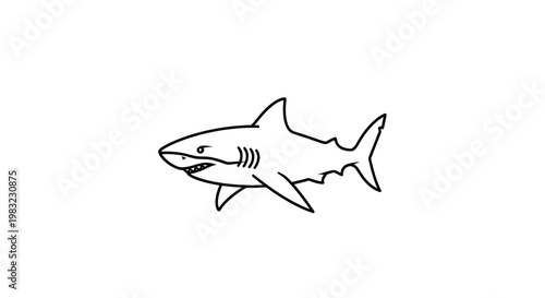 Hand-drawn shark illustration, simple line art, isolated on white background, marine animal.