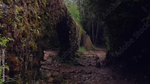 Acueducto en una ruta de un bosque frondoso con agua 