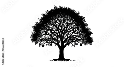 Silhouette of a large fruit tree with apples on white background