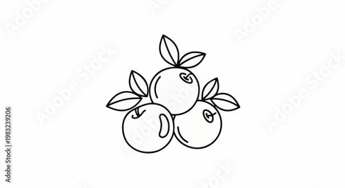 Black and white line drawing of three berries with leaves