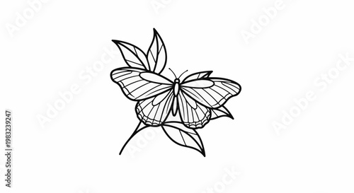 Black and white outline drawing of a butterfly with detailed wings on leaves
