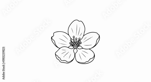 Black and white line art of a single five-petal flower