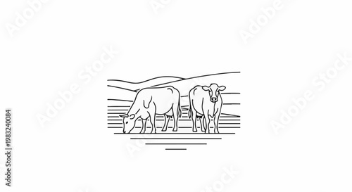 Black and white illustration of two cows grazing on a pasture with rolling hills