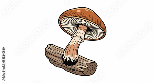 An illustration of a brown mushroom growing from a piece of weathered wood